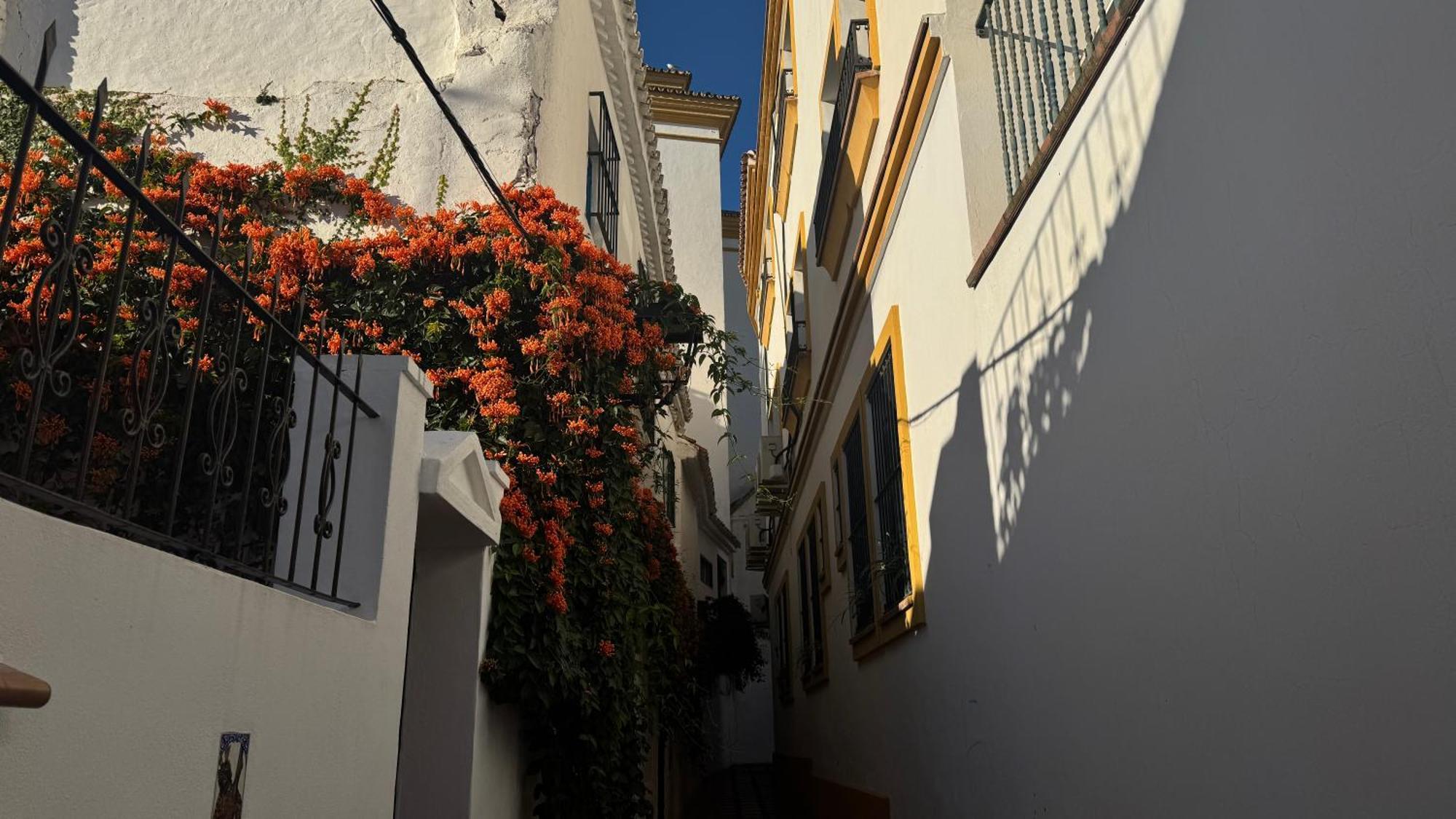 Apartamento Oasis Jacuzzi Retreat Marbella Exterior foto
